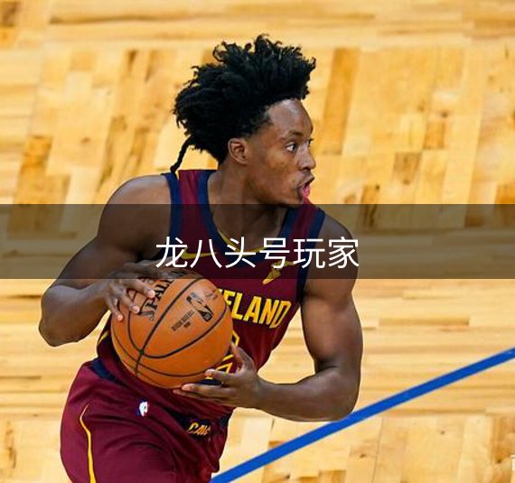 龙八头号玩家概况